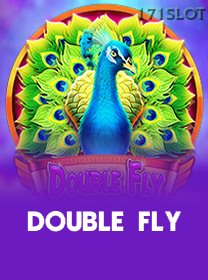 Double Fly icon