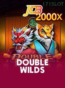 Double Wilds game cover