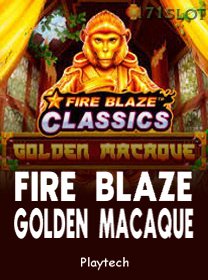 Fire Blaze Golden Macaque icon